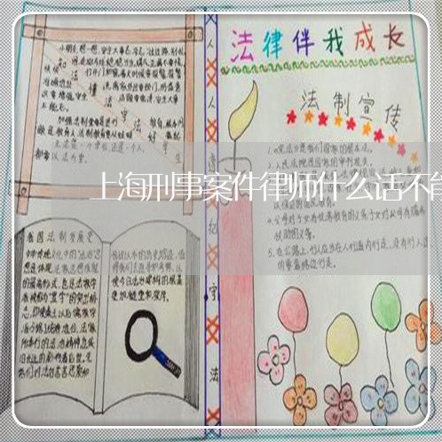 上海刑事案件律师什么话不能传/2023060359593