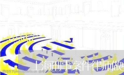 上海刑事案件律师做些什么/2023032979914