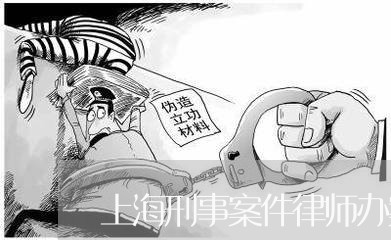 上海刑事案件律师办案体会/2023032978361