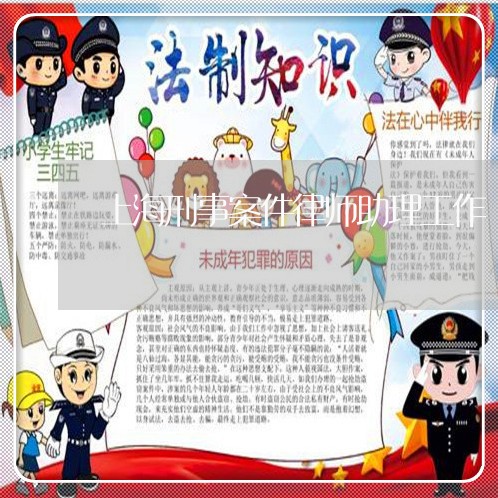 上海刑事案件律师助理工作/2023032981606