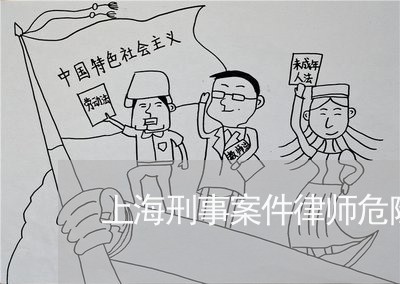上海刑事案件律师危险吗/2023022737180 上海刑事案件律师危险吗/2023022737180