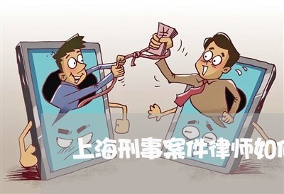 上海刑事案件律师如何阅卷/2023031624808
