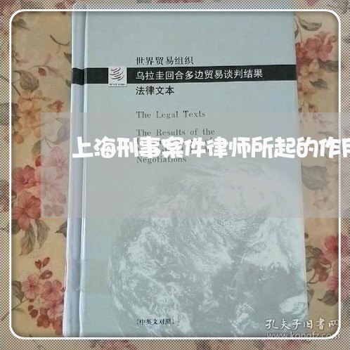 上海刑事案件律师所起的作用/2023032949260 上海刑事案件律师所起的作用/2023032949260