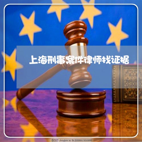 上海刑事案件律师找证据/2023022751713
