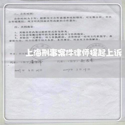 上海刑事案件律师提起上诉/2023031686968 上海刑事案件律师提起上诉/2023031686968