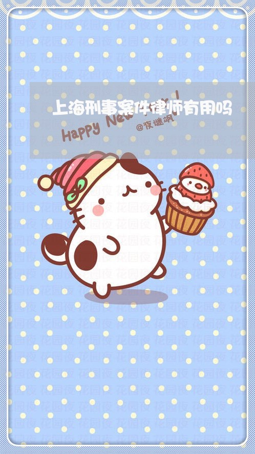 上海刑事案件律师有用吗/2023022752837 上海刑事案件律师有用吗/2023022752837
