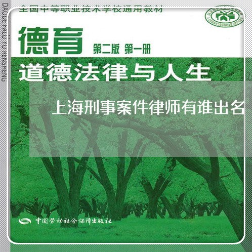 上海刑事案件律师有谁出名/2023032932604