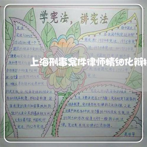 上海刑事案件律师精细化辩护/2023032926126