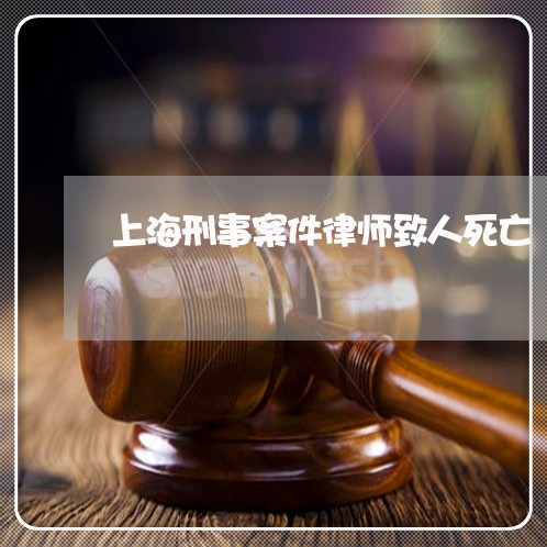 上海刑事案件律师致人死亡/2023032998172