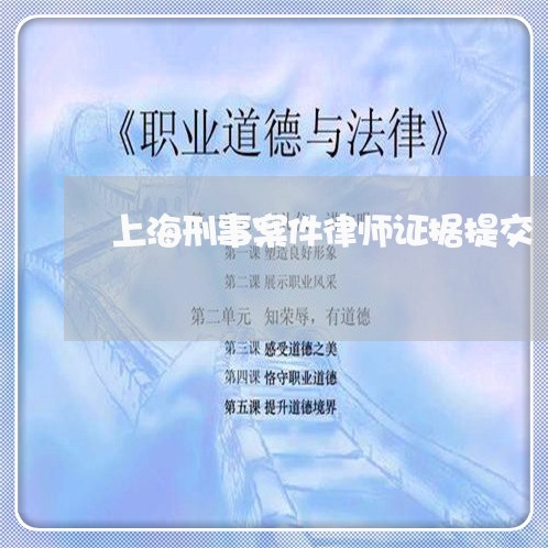 上海刑事案件律师证据提交/2023031682825 上海刑事案件律师证据提交/2023031682825