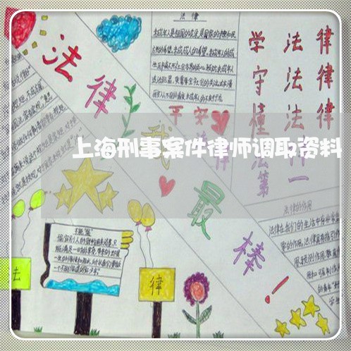 上海刑事案件律师调取资料/2023031607059