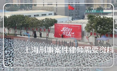 上海刑事案件律师需要资料/2023032995259