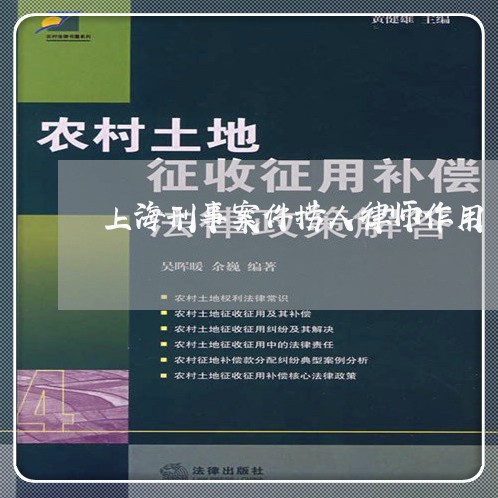 上海刑事案件捞人律师作用/2023032933705