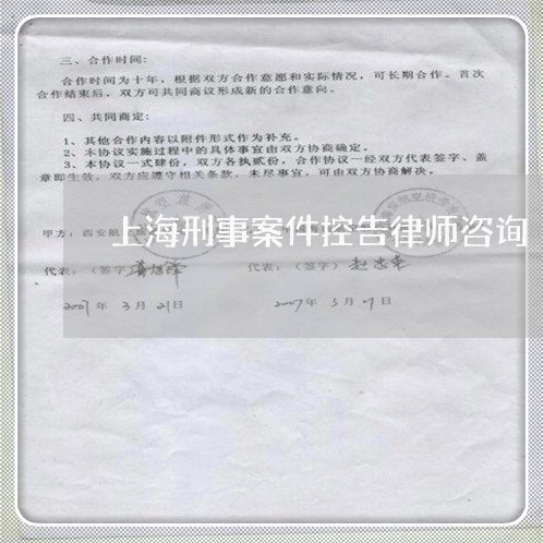 上海刑事案件控告律师咨询/2023031679382