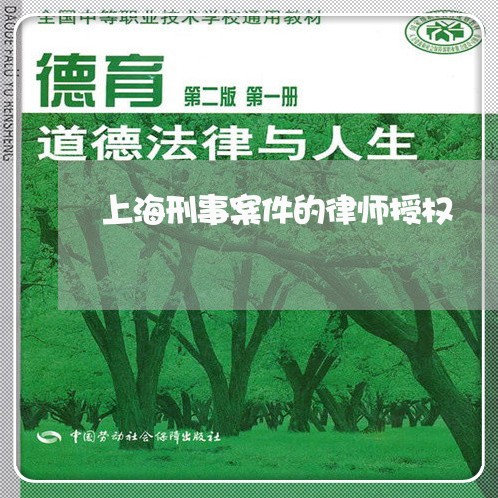 上海刑事案件的律师授权/2023022774715 上海刑事案件的律师授权/2023022774715