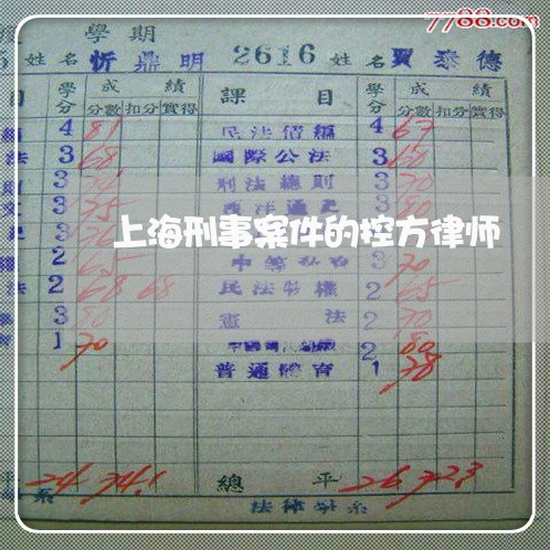 上海刑事案件的控方律师/2023022784715 上海刑事案件的控方律师/2023022784715