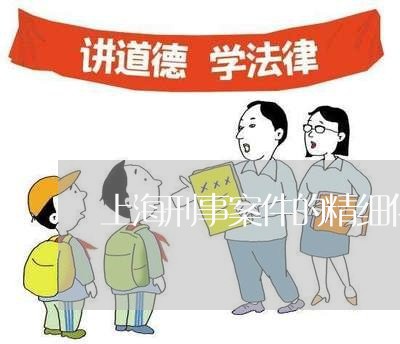 上海刑事案件的精细化辩护/2023032994139