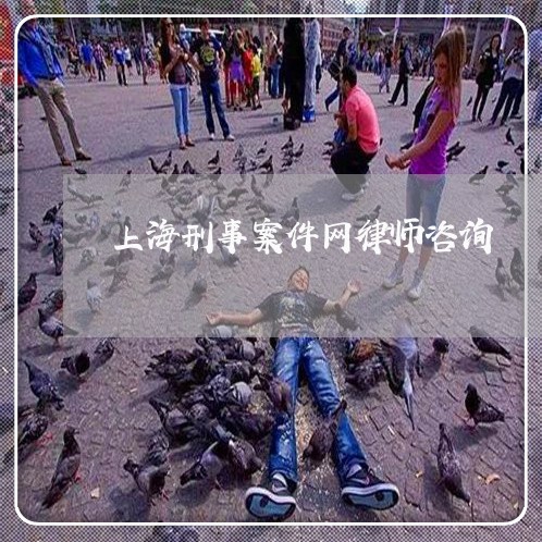 上海刑事案件网律师咨询/2023022740472
