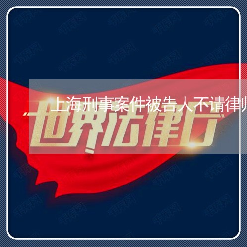 上海刑事案件被告人不请律师/2023032940571 上海刑事案件被告人不请律师/2023032940571