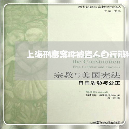 上海刑事案件被告人自行辩护/2023032950593 上海刑事案件被告人自行辩护/2023032950593