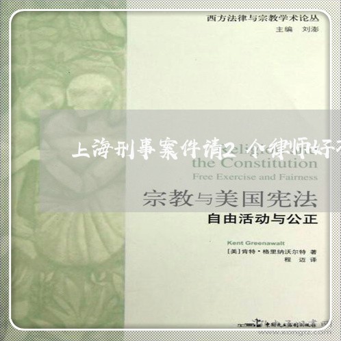 上海刑事案件请2个律师好不好/2023060384259