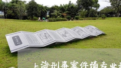 上海刑事案件请专业刑事律师/2023032968361 上海刑事案件请专业刑事律师/2023032968361