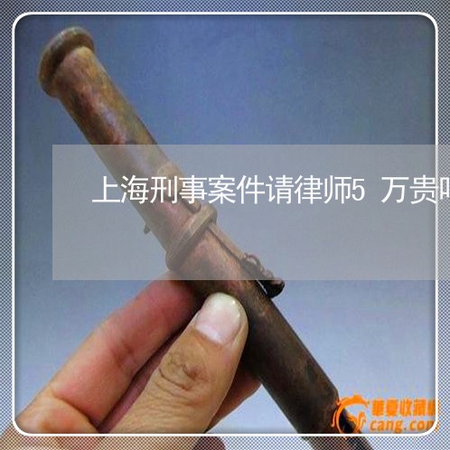 上海刑事案件请律师5万贵吗/2023032906846