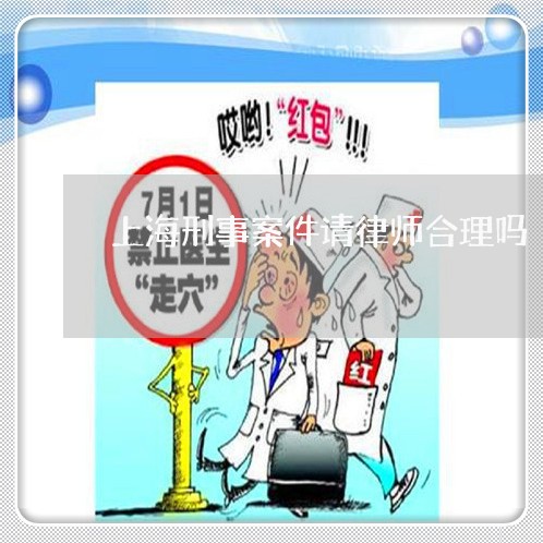 上海刑事案件请律师合理吗/2023032950484