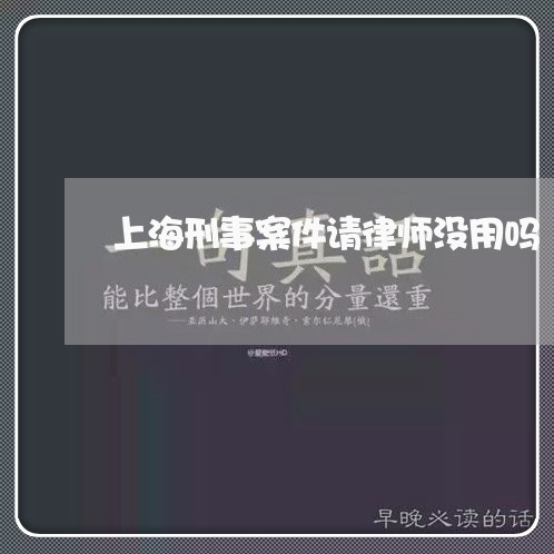 上海刑事案件请律师没用吗/2023032912859