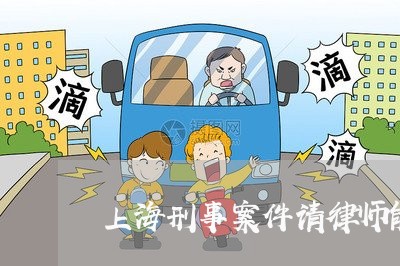 上海刑事案件请律师能做什么/2023032915957