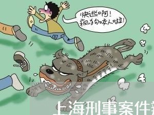 上海刑事案件辩护人人数/2023022761683