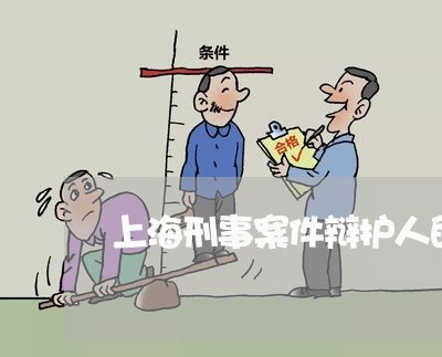 上海刑事案件辩护人的委托人/2023032972602 上海刑事案件辩护人的委托人/2023032972602