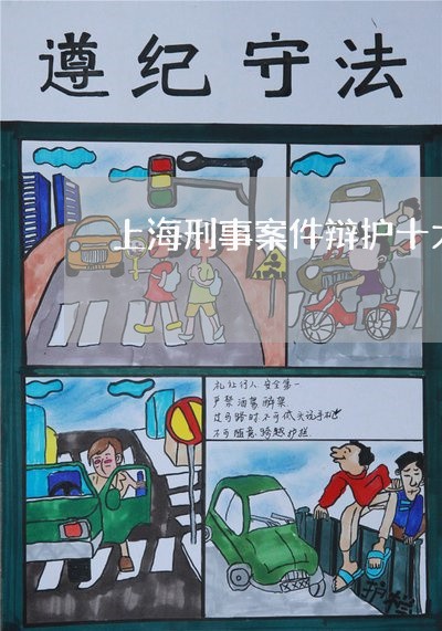 上海刑事案件辩护十大问题/2023032914358