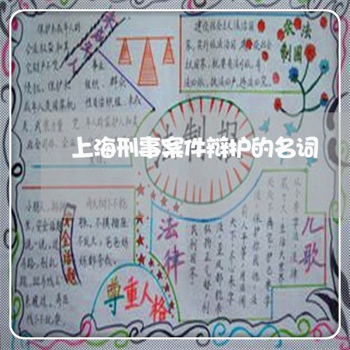 上海刑事案件辩护的名词/2023022753735