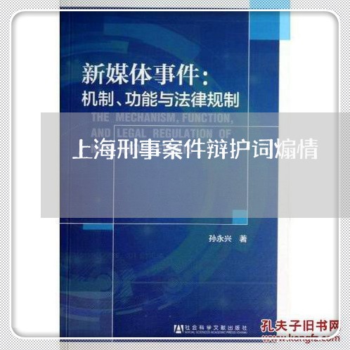 上海刑事案件辩护词煽情/2023022748512 上海刑事案件辩护词煽情/2023022748512