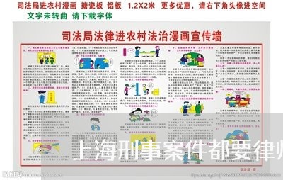 上海刑事案件都要律师吗/2023022718979