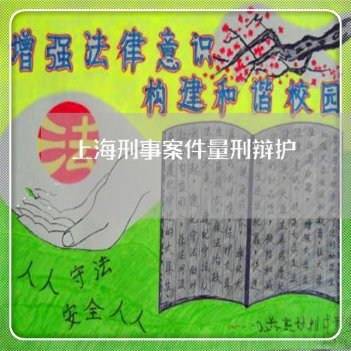 上海刑事案件量刑辩护/2023021181726 上海刑事案件量刑辩护/2023021181726