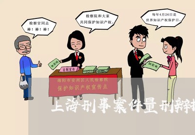 上海刑事案件量刑辩护类型/2023031650482 上海刑事案件量刑辩护类型/2023031650482