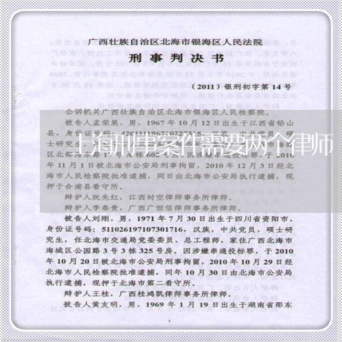 上海刑事案件需要两个律师/2023032912614