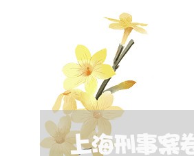上海刑事案卷律师处分/2023021151270 上海刑事案卷律师处分/2023021151270