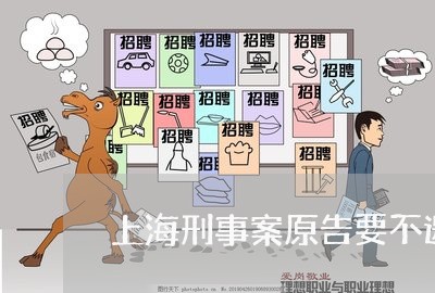 上海刑事案原告要不邀请律师/2023033028161