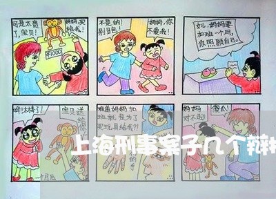 上海刑事案子几个辩护人/2023022733969
