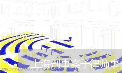 上海刑事案子律师事务所函/2023031645937 上海刑事案子律师事务所函/2023031645937