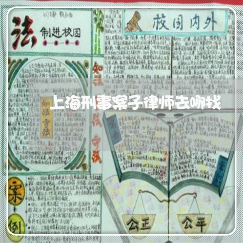 上海刑事案子律师去哪找/2023022783825