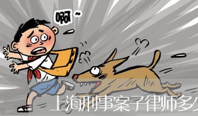 上海刑事案子律师多少钱/2023022721515