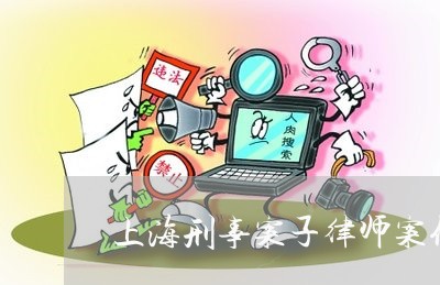 上海刑事案子律师案例/2023021149592 上海刑事案子律师案例/2023021149592