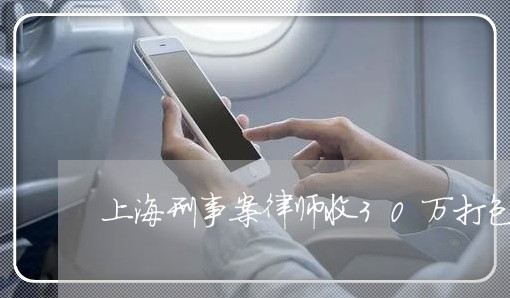 上海刑事案律师收30万打包/2023033018372