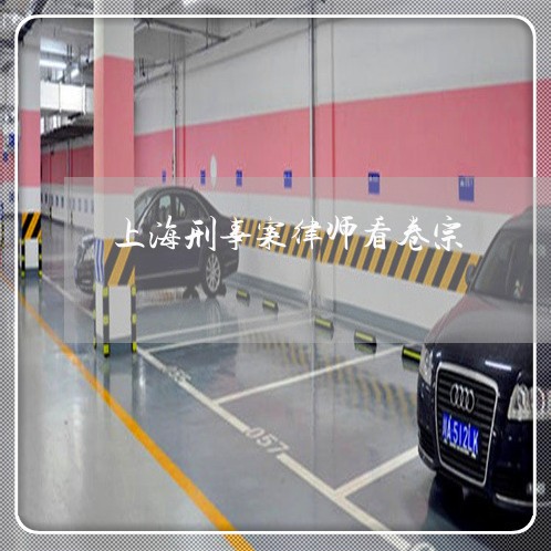 上海刑事案律师看卷宗/2023021163516 上海刑事案律师看卷宗/2023021163516