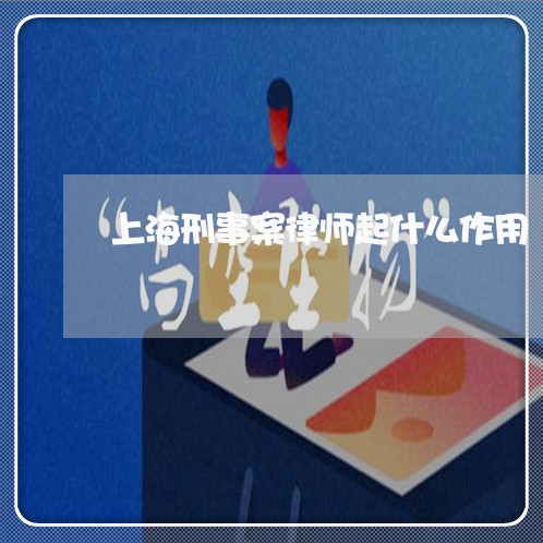 上海刑事案律师起什么作用/2023033077269