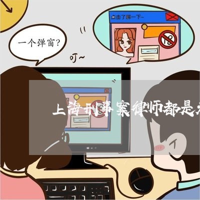 上海刑事案律师都是走过场吗/2023033051693 上海刑事案律师都是走过场吗/2023033051693